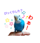 ことりさんの可愛い1日。～ハロウィン編〜（個別スタンプ：3）