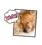 愉快な怜央31（個別スタンプ：7）