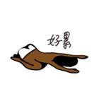 ハロー黒人（個別スタンプ：3）