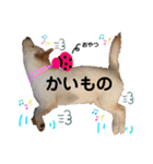 諭吉イベント（個別スタンプ：6）