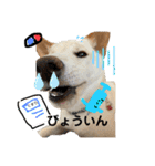 諭吉イベント（個別スタンプ：9）