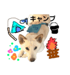 諭吉イベント（個別スタンプ：23）
