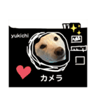 諭吉イベント（個別スタンプ：27）