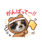 マンちゃんとサラちゃん（個別スタンプ：1）