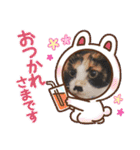 マンちゃんとサラちゃん（個別スタンプ：3）