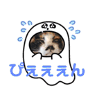 マンちゃんとサラちゃん（個別スタンプ：23）
