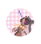 きゃぴっ。さくらでしゅっ！（個別スタンプ：1）