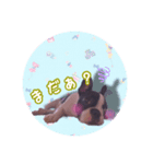 きゃぴっ。さくらでしゅっ！（個別スタンプ：3）