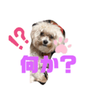 ナラファミリー11（個別スタンプ：2）