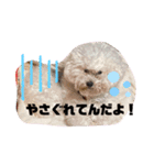 ナラファミリー11（個別スタンプ：5）