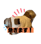 ナラファミリー11（個別スタンプ：6）