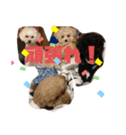 ナラファミリー11（個別スタンプ：7）