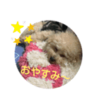我が家とお友達（個別スタンプ：2）