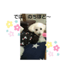 我が家とお友達（個別スタンプ：20）