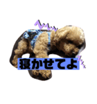 ナラファミリー12（個別スタンプ：3）