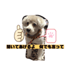 ナラファミリー12（個別スタンプ：5）