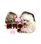 ナラファミリー12（個別スタンプ：6）