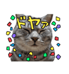 らおまる5（個別スタンプ：9）
