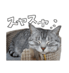 らおまる5（個別スタンプ：25）