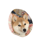 キキのライフスタイル（個別スタンプ：8）