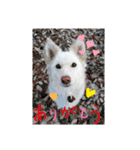 <ʓみちゃんのきゃわいいスタンプ押忍その1（個別スタンプ：3）