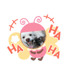 <ʓみちゃんのきゃわいいスタンプ押忍その1（個別スタンプ：12）