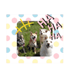 <ʓみちゃんのきゃわいいスタンプ押忍その1（個別スタンプ：13）