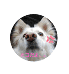 <ʓみちゃんのきゃわいいスタンプ押忍その1（個別スタンプ：29）