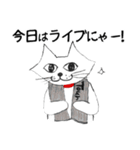 ライブねこ（個別スタンプ：4）