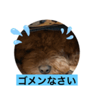我が家のペット会話（個別スタンプ：5）