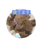 我が家のペット会話（個別スタンプ：23）
