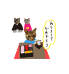 キジトラ 日本ねこ（個別スタンプ：10）