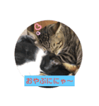 ないよね（個別スタンプ：1）