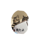 ないよね（個別スタンプ：3）