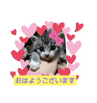 ないよね（個別スタンプ：4）