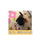ないよね（個別スタンプ：5）