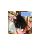 ないよね（個別スタンプ：7）