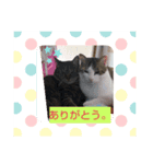 ないよね（個別スタンプ：8）