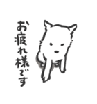 ただの白い犬。（個別スタンプ：4）