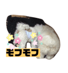 ナラファミリー15（個別スタンプ：1）