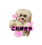 ナラファミリー15（個別スタンプ：5）