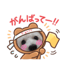 愛犬テンくんのスタンプ5（個別スタンプ：3）