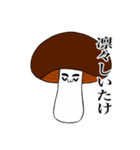 いろんなしいたけ（個別スタンプ：11）