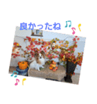 ぱぴぱぴパピヨン11（個別スタンプ：25）