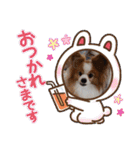 ぱぴぱぴパピヨン11（個別スタンプ：33）