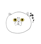みゃこだよ（個別スタンプ：1）