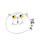 みゃこだよ（個別スタンプ：6）