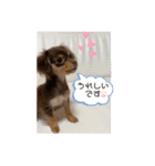 毎日かわいいちわっくすちゃちゃ（個別スタンプ：2）