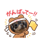 毎日かわいいちわっくすちゃちゃ（個別スタンプ：17）