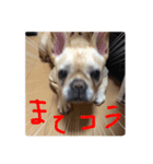 ハナやがな（個別スタンプ：4）